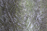 Weeping Cross fibreglass roof work